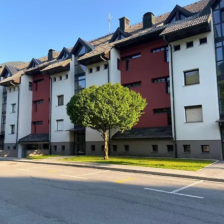 Bee's Place Apartment